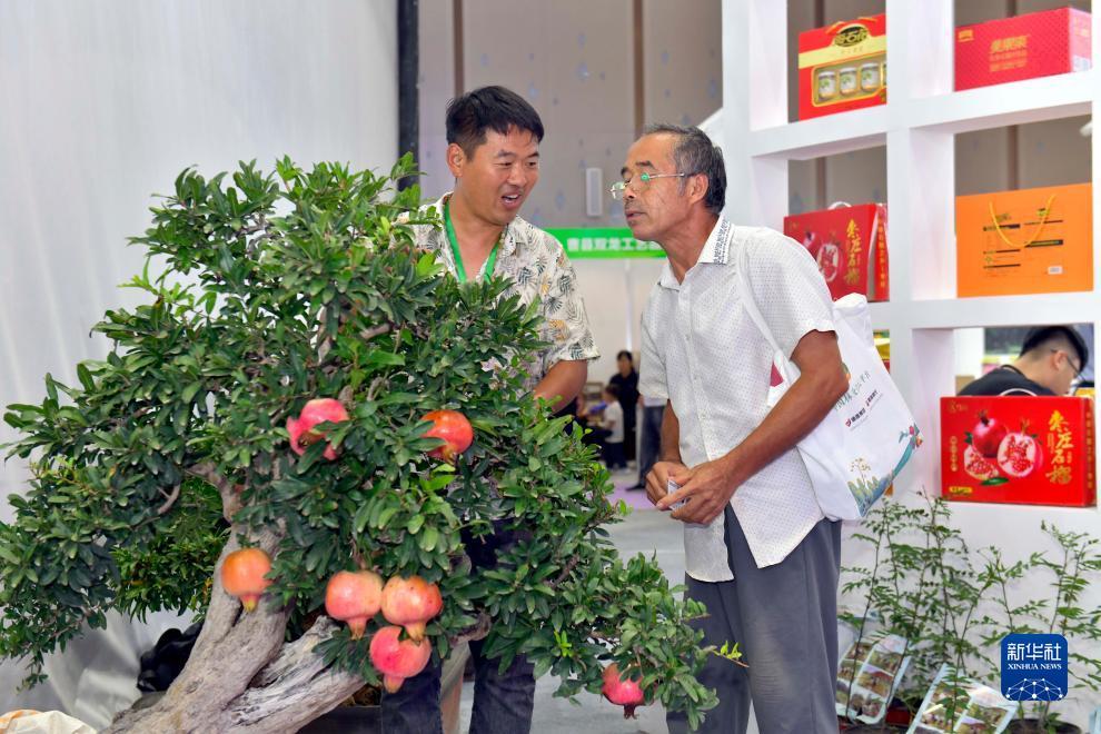 mg线上